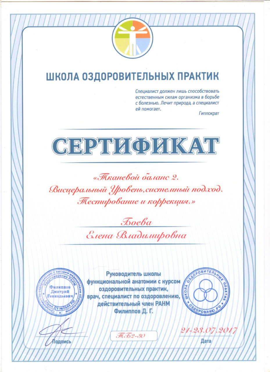 кинезиолог - сертификат